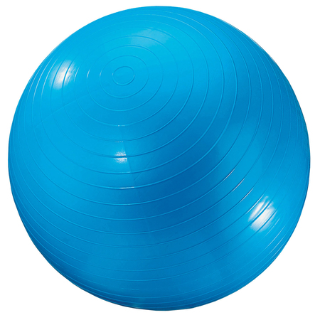 MARTIN SPORTS Martin Sports Exercise Ball, 24", Blue GYM24